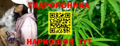 стаф Бузулук