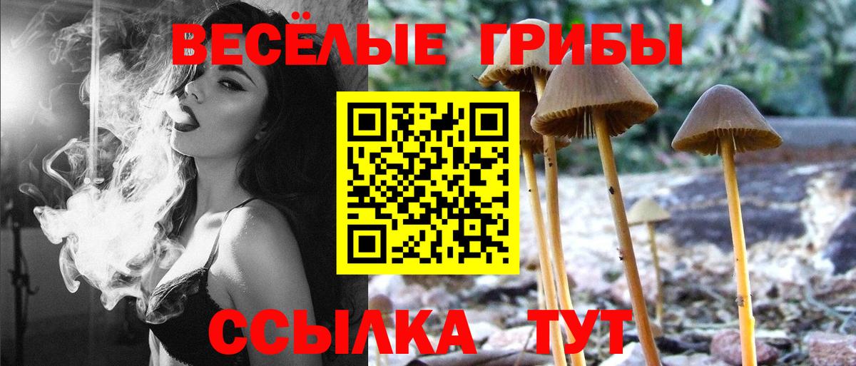 Галлюциногенные грибы мицелий  Вход с VPN  Серпухов 